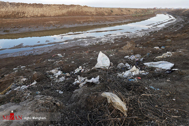 خلیج گرگان در حال مرداب شدن