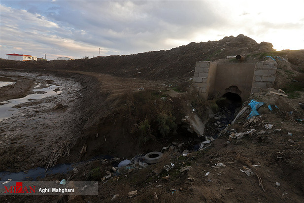 خلیج گرگان در حال مرداب شدن