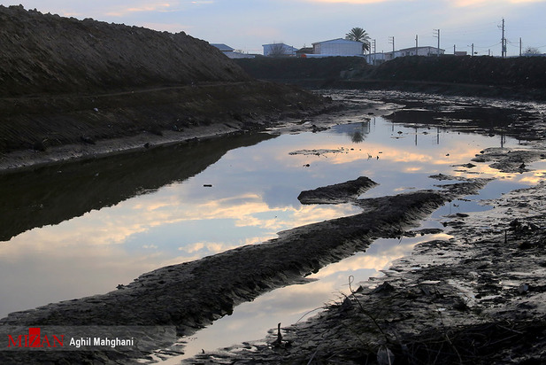 خلیج گرگان در حال مرداب شدن