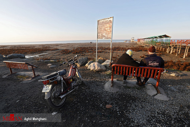 خلیج گرگان در حال مرداب شدن
