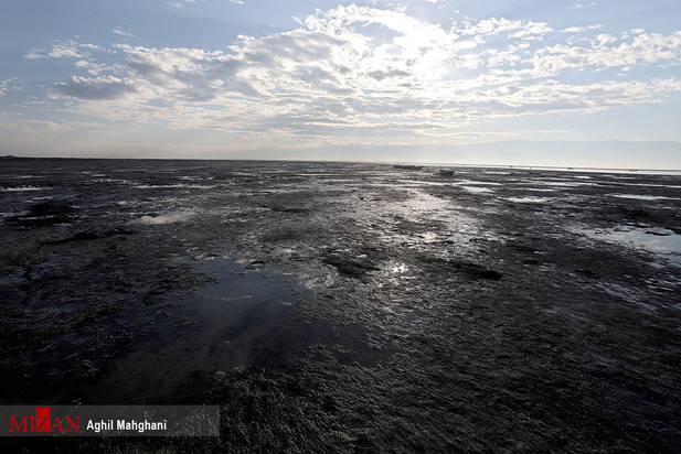 خلیج گرگان در حال مرداب شدن