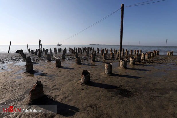 خلیج گرگان در حال مرداب شدن