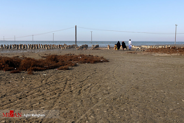 خلیج گرگان در حال مرداب شدن