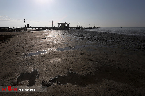 خلیج گرگان در حال مرداب شدن