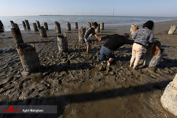 خلیج گرگان در حال مرداب شدن