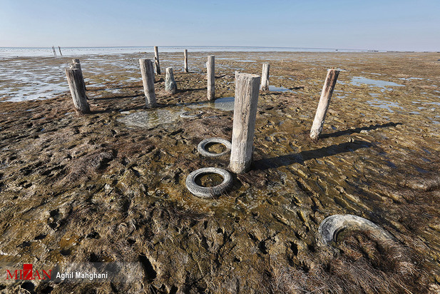 خلیج گرگان در حال مرداب شدن