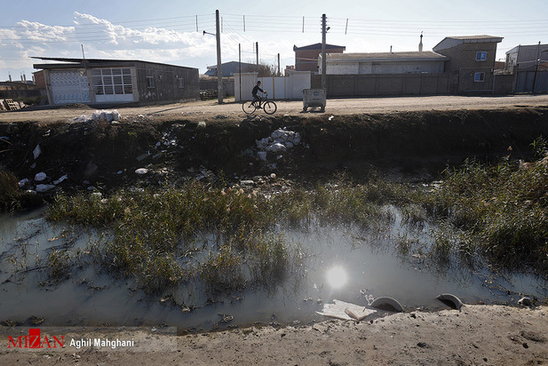 خلیج گرگان در حال مرداب شدن