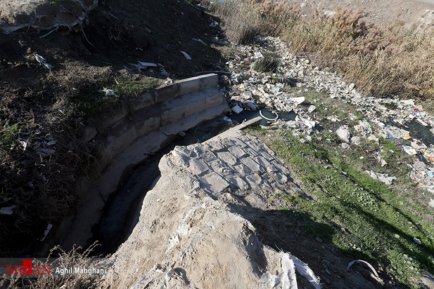 خلیج گرگان در حال مرداب شدن