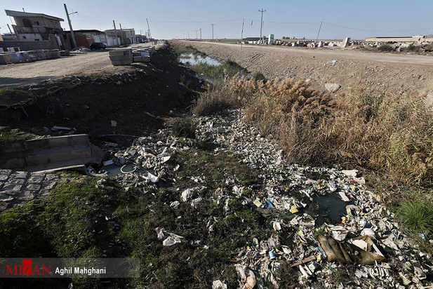 خلیج گرگان در حال مرداب شدن