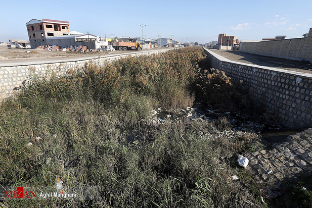 خلیج گرگان در حال مرداب شدن