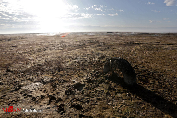 خلیج گرگان در حال مرداب شدن