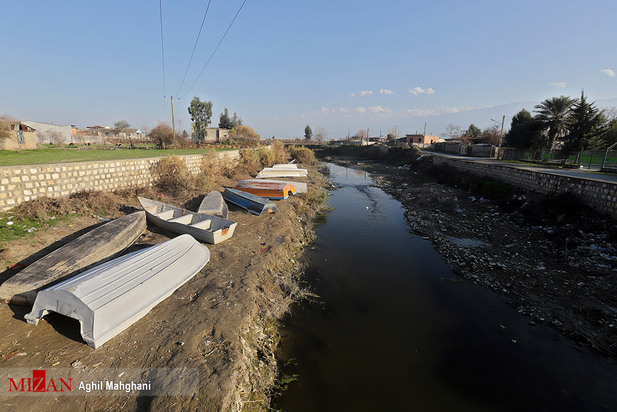 خلیج گرگان در حال مرداب شدن
