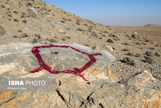 تهدید «چهارکوهِ» علویجه با ظهور معادن سنگ