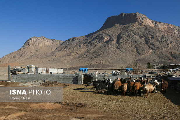 تهدید «چهارکوهِ» علویجه با ظهور معادن سنگ