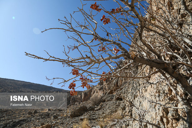 تهدید «چهارکوهِ» علویجه با ظهور معادن سنگ
