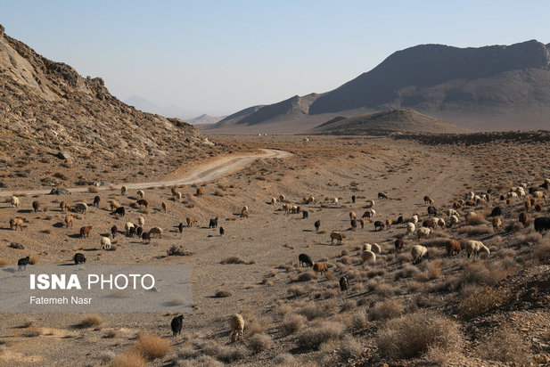 تهدید «چهارکوهِ» علویجه با ظهور معادن سنگ