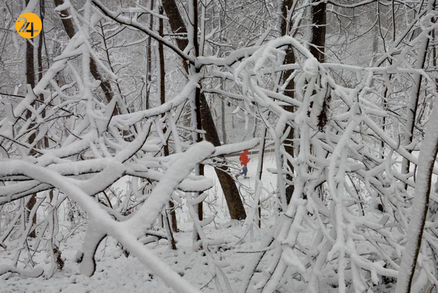 برف سنگین واشنگتن را درنوردید
