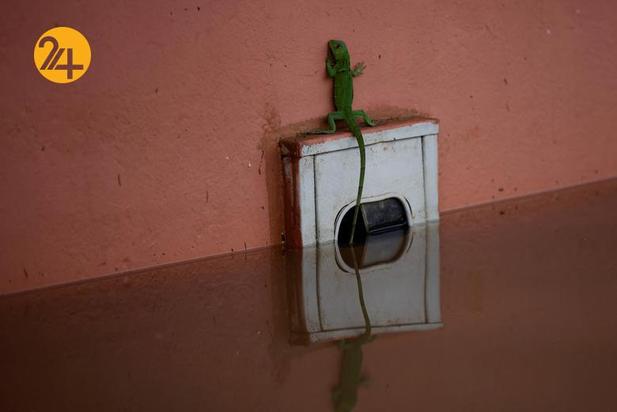 برزیل غرق در سیلاب