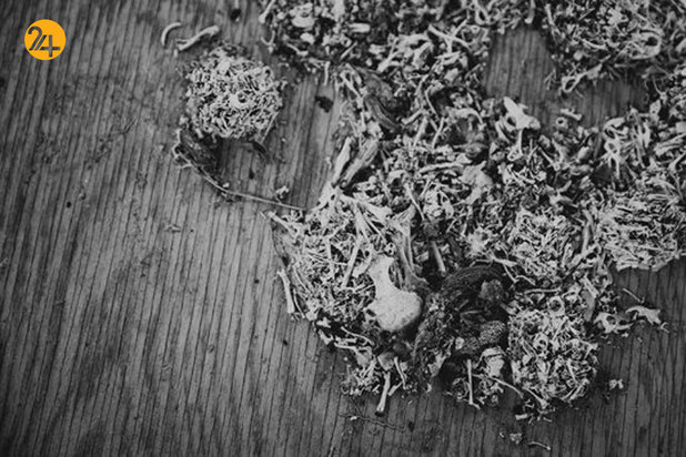 کمپ ایکس ری در زندان گوانتانامو