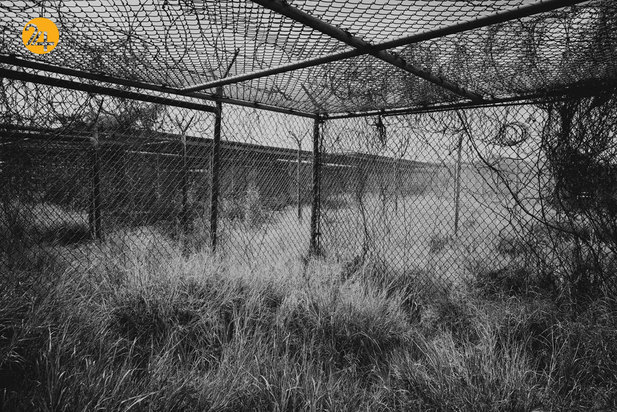 کمپ ایکس ری در زندان گوانتانامو