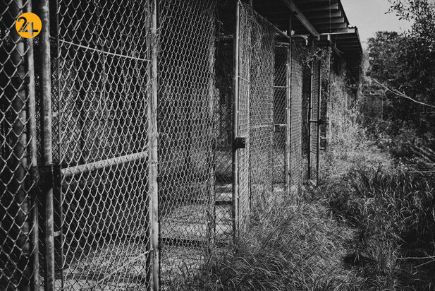 کمپ ایکس ری در زندان گوانتانامو