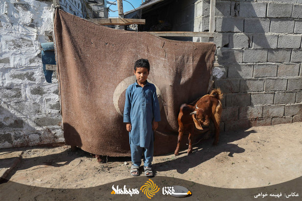 محرومان بازمانده از تحصیل