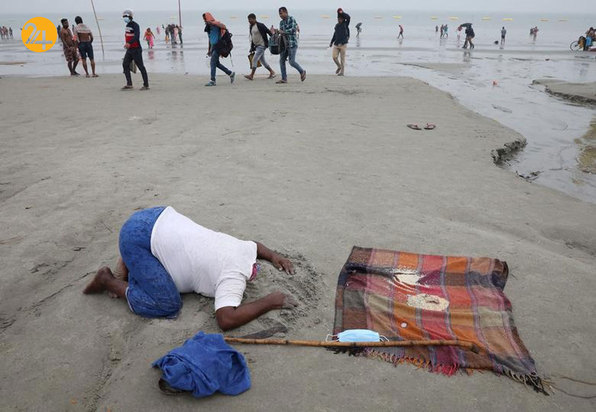 فستیوال برداشت ماکارسانکرانتی