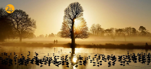 حیات وحش به روایت گاردین