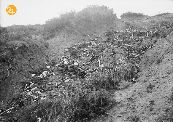 آثار هوبرت ویلکینز کاوشگر قطبی