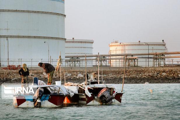 تبعات زیست محیطی پتروشیمی ماهشهر