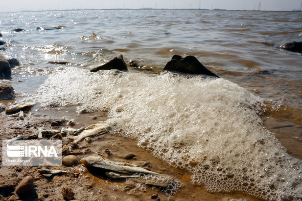 تبعات زیست محیطی پتروشیمی ماهشهر
