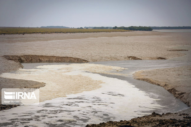 تبعات زیست محیطی پتروشیمی ماهشهر