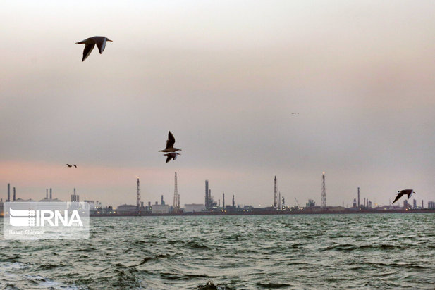 تبعات زیست محیطی پتروشیمی ماهشهر