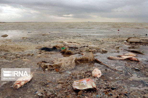 تبعات زیست محیطی پتروشیمی ماهشهر