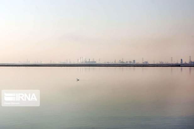 تبعات زیست محیطی پتروشیمی ماهشهر