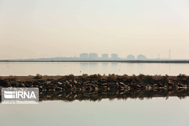 تبعات زیست محیطی پتروشیمی ماهشهر