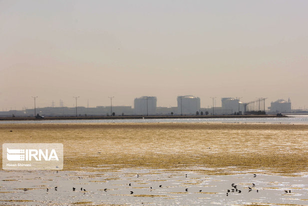 تبعات زیست محیطی پتروشیمی ماهشهر