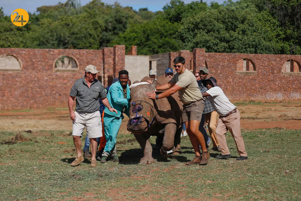 شگفت‌انگیزهای حیات وحش