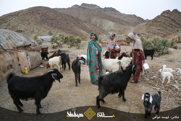 روزگار غریب غریب آبادی‌ها