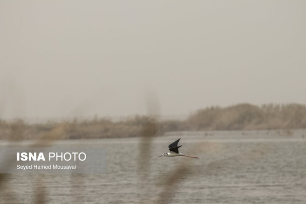 وضعیت این‌روزهای هورالعظیم