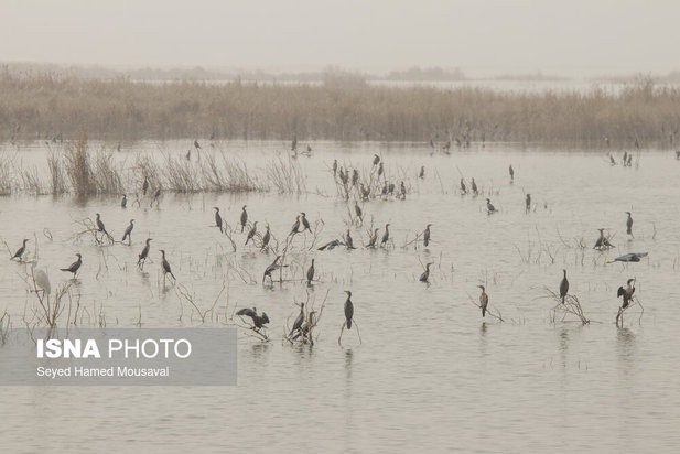 وضعیت این‌روزهای هورالعظیم