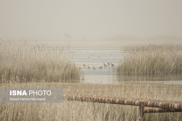 وضعیت این‌روزهای هورالعظیم