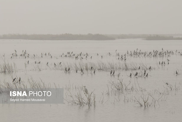 وضعیت این‌روزهای هورالعظیم