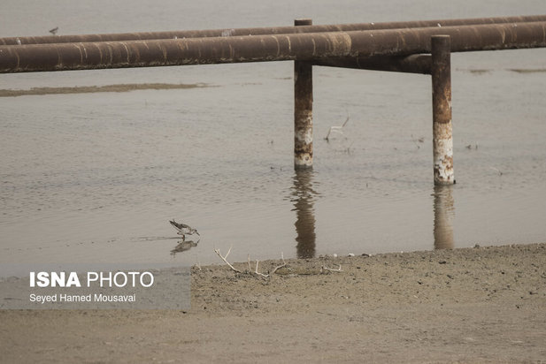 وضعیت این‌روزهای هورالعظیم