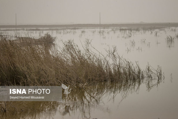 وضعیت این‌روزهای هورالعظیم