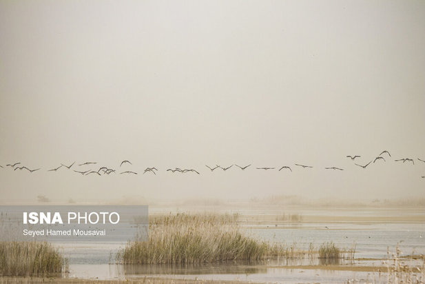 وضعیت این‌روزهای هورالعظیم