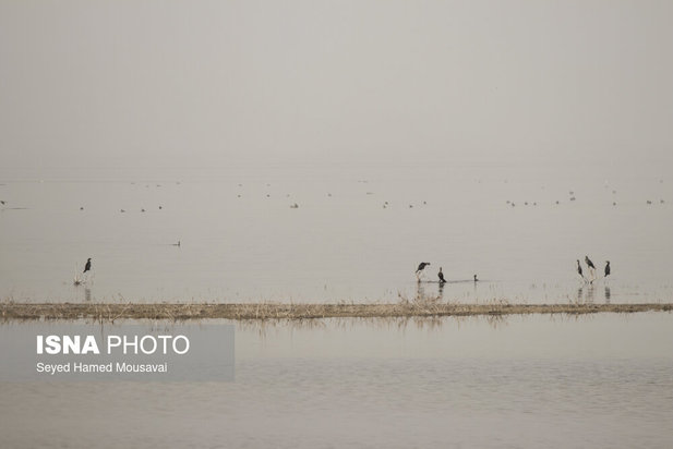 وضعیت این‌روزهای هورالعظیم