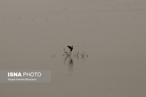 وضعیت این‌روزهای هورالعظیم