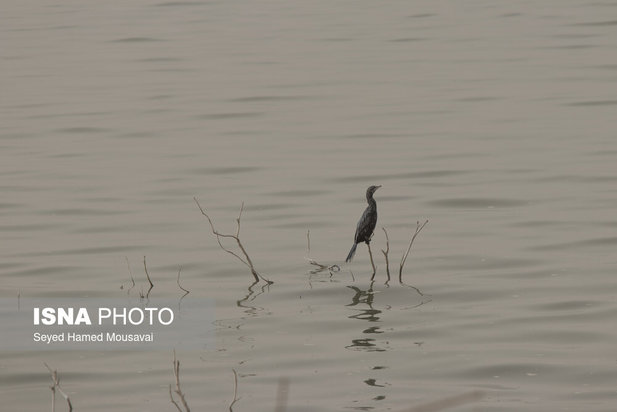 وضعیت این‌روزهای هورالعظیم