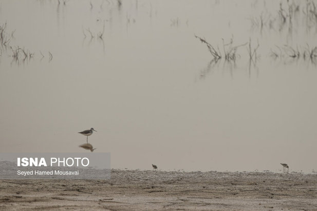 وضعیت این‌روزهای هورالعظیم